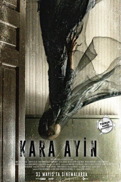 Kara Ayin izle