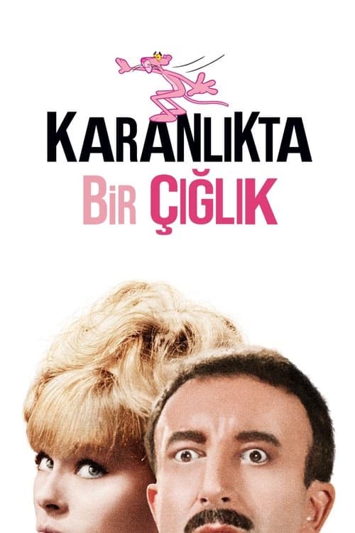 Karanlıkta Bir Çığlık izle