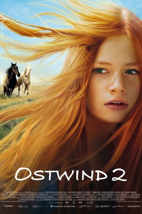 Kasırga 2 izle