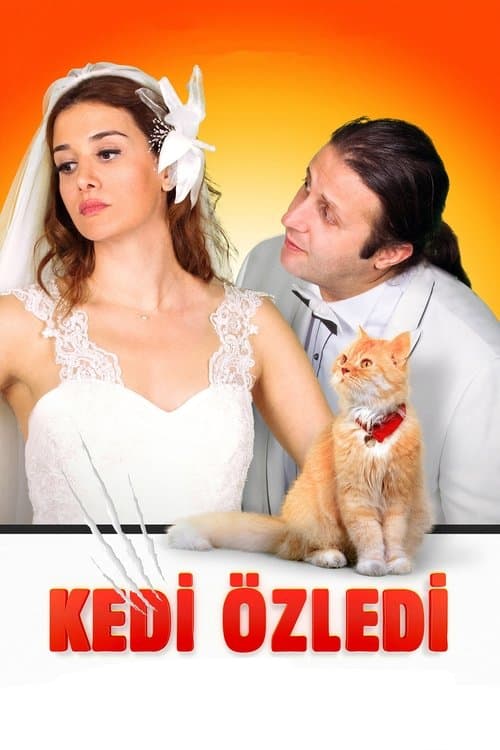 Kedi Özledi izle