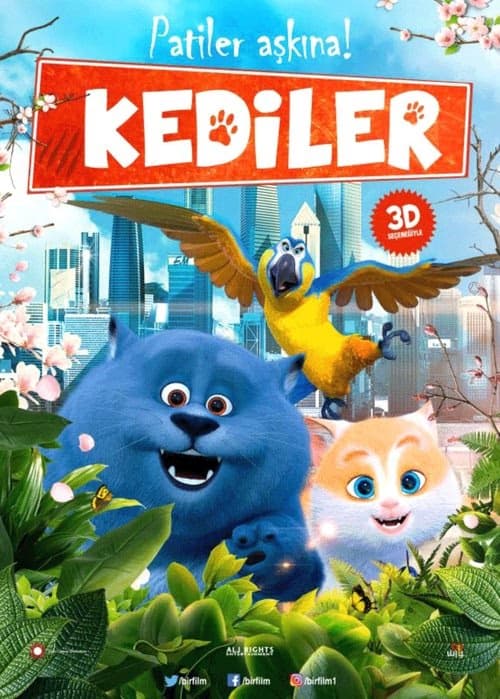 Kediler izle