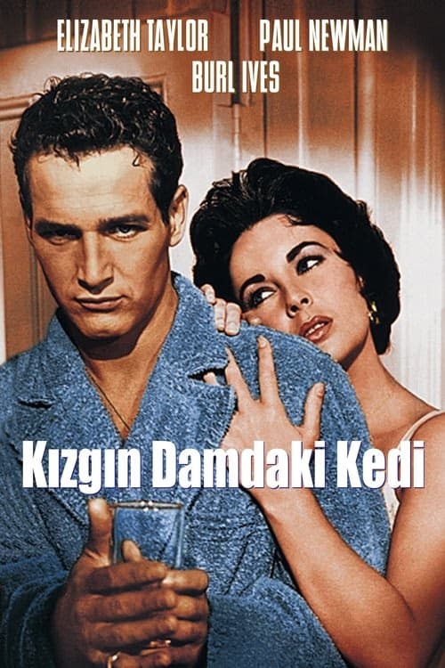 Kızgın Damdaki Kedi izle