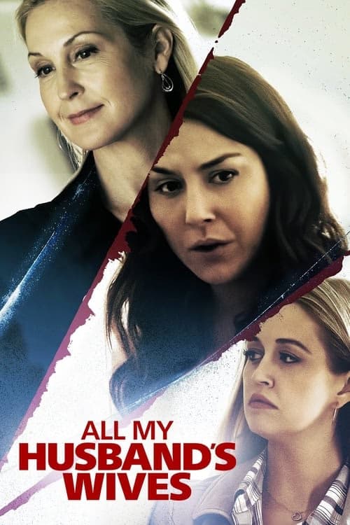 Kocamın Tüm Eşleri izle