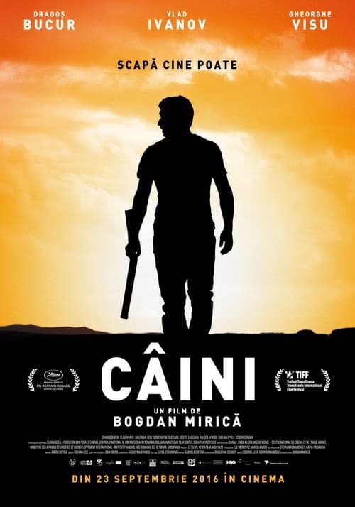 Köpekler izle