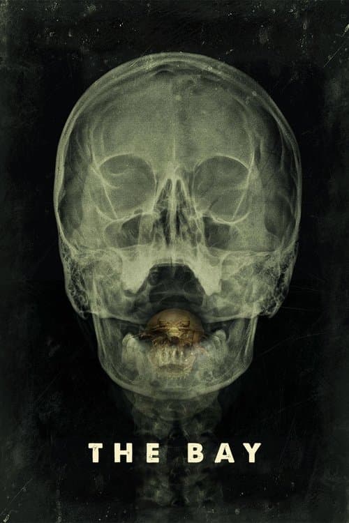 Körfezci izle