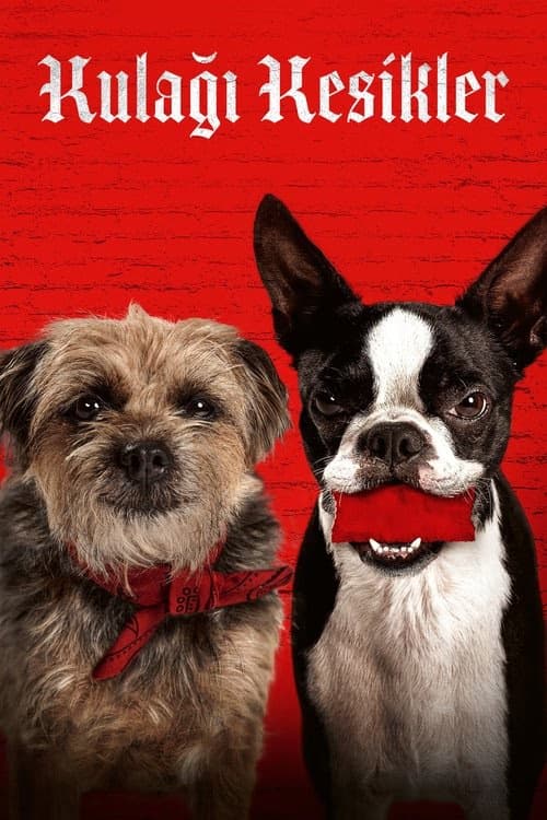 Kulağı Kesikler izle