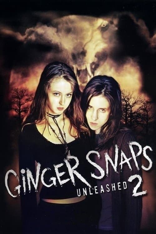Kurtkızlar Serbest Kaldı izle