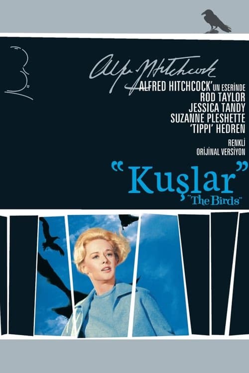 Kuşlar izle