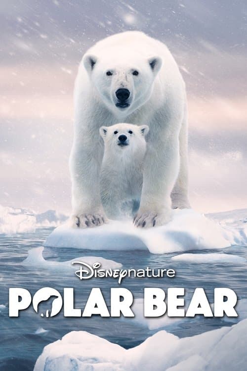 Kutup Ayısı izle