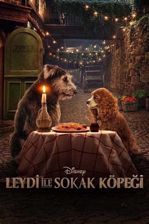 Lady ile Sokak Köpeği izle