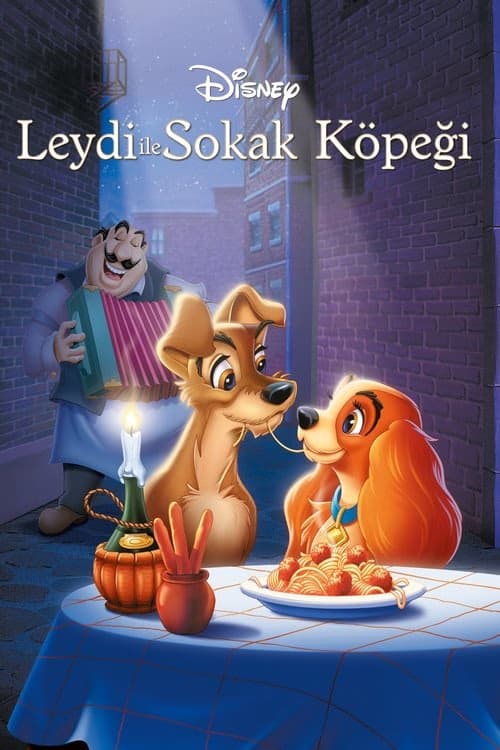 Leydi ile Sokak Köpeği izle