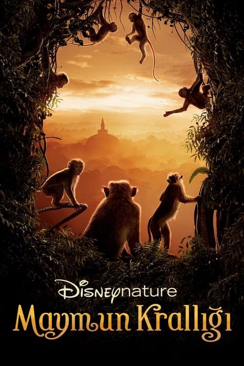 Maymun Krallığı izle