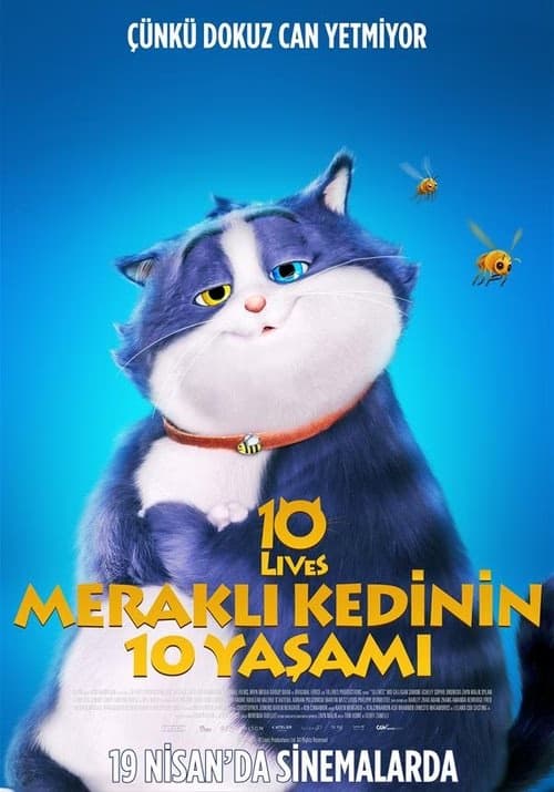 Meraklı Kedinin 10 Yaşamı izle
