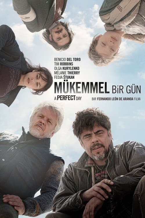 Mükemmel Bir Gün izle