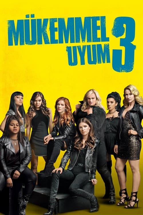 Mükemmel Uyum 3 izle