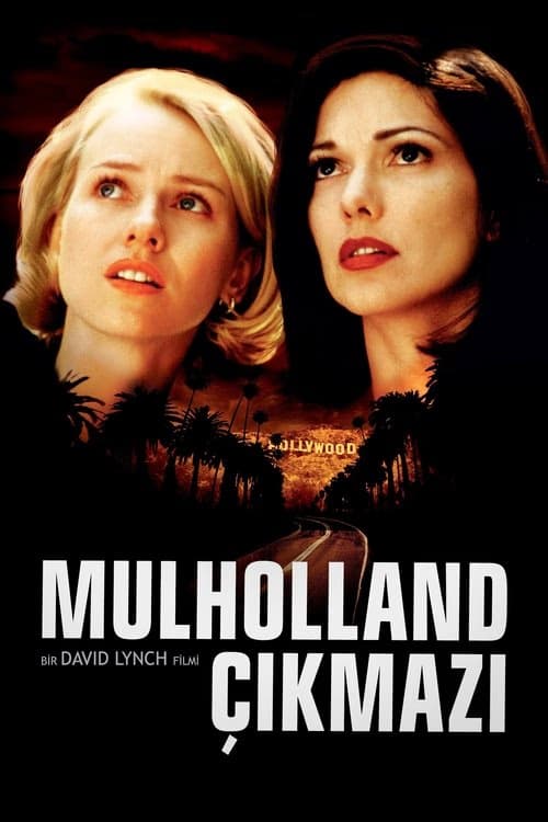 Mulholland Çıkmazı izle