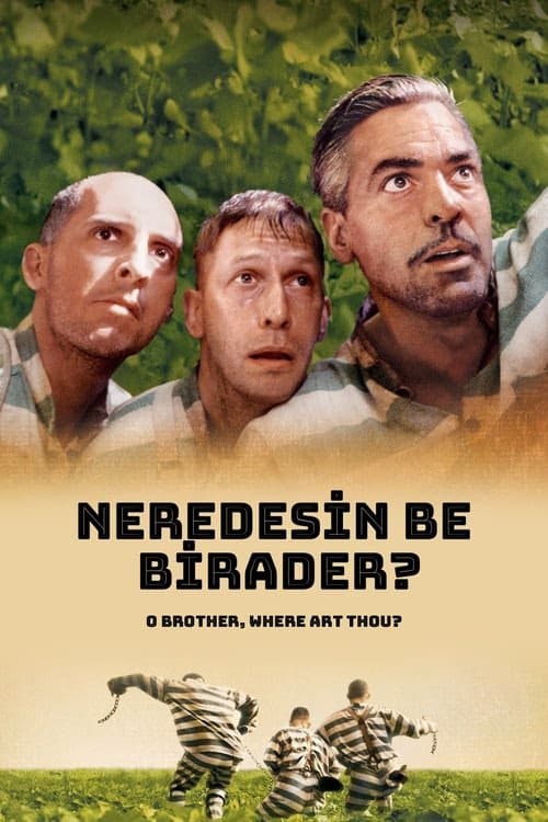 Neredesin Be Birader? izle