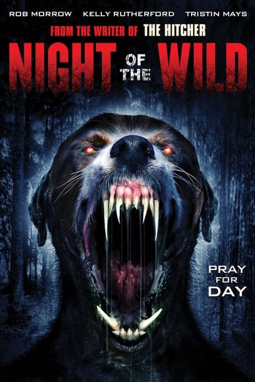 Night of the Wild izle