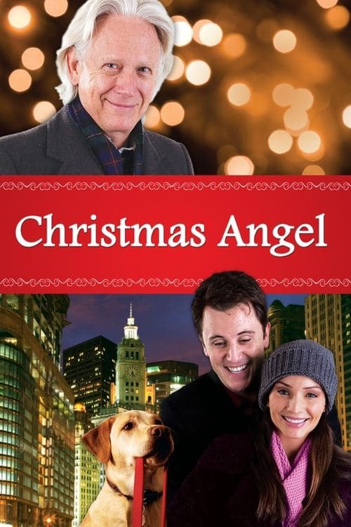 Noel Meleği izle