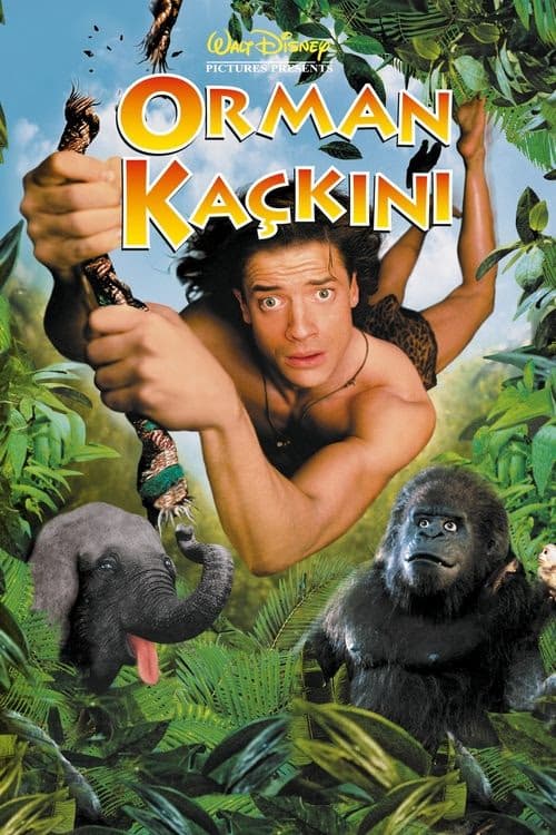 Orman Kaçkını izle