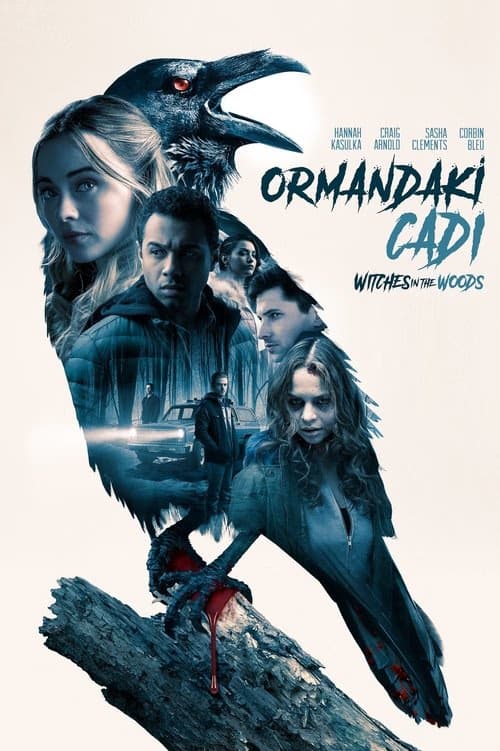 Ormandaki Cadı izle