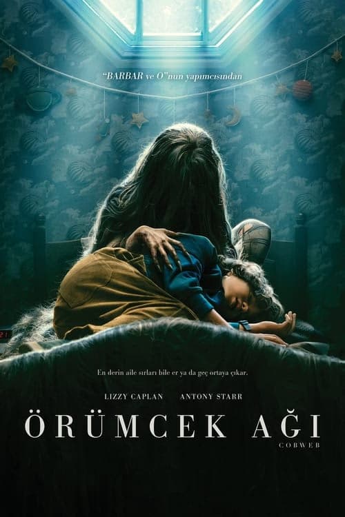Örümcek Ağı izle