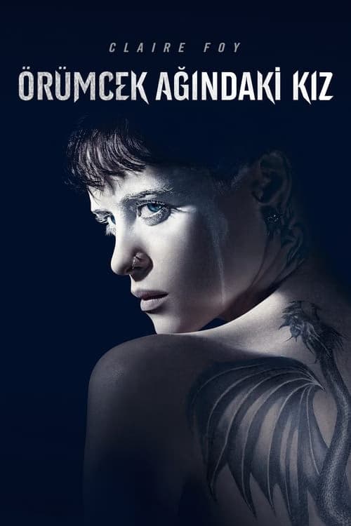 Örümcek Ağındaki Kız izle