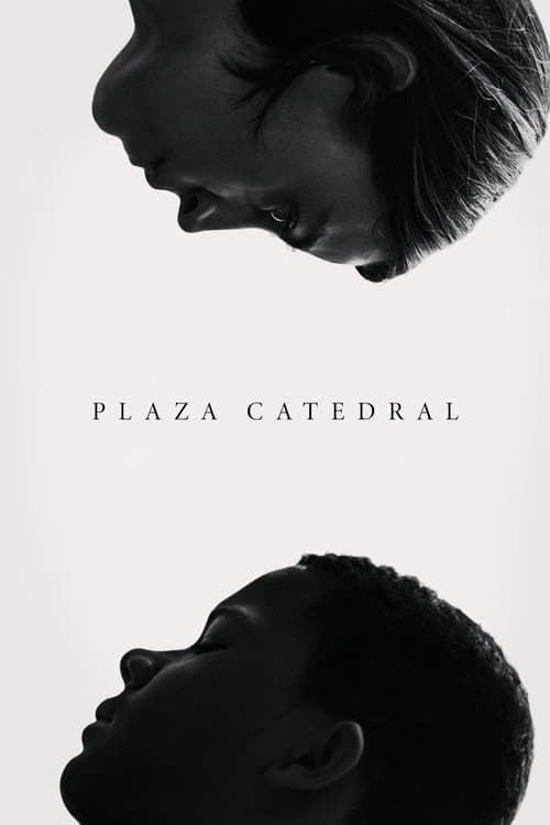 Plaza Catedral izle