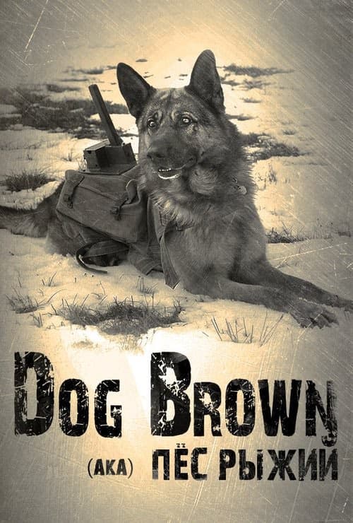 Red Dog izle
