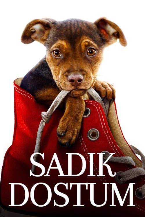 Sadık Dostum izle
