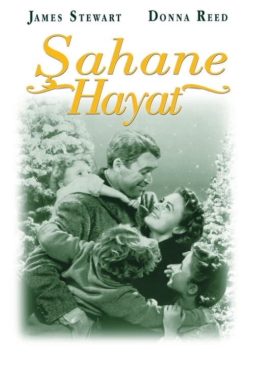 Şahane Hayat izle