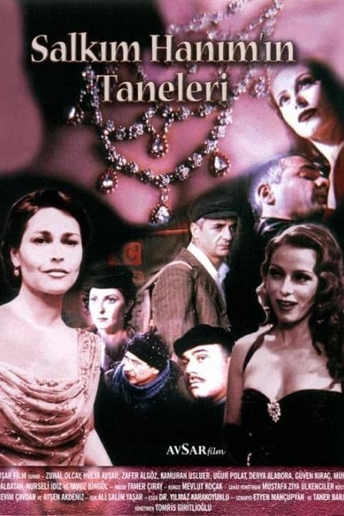 Salkım Hanım'ın Taneleri izle