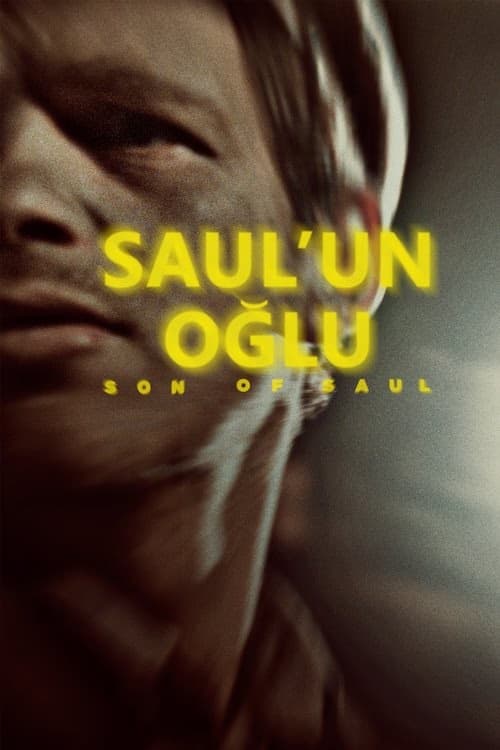 Saul'un Oğlu izle