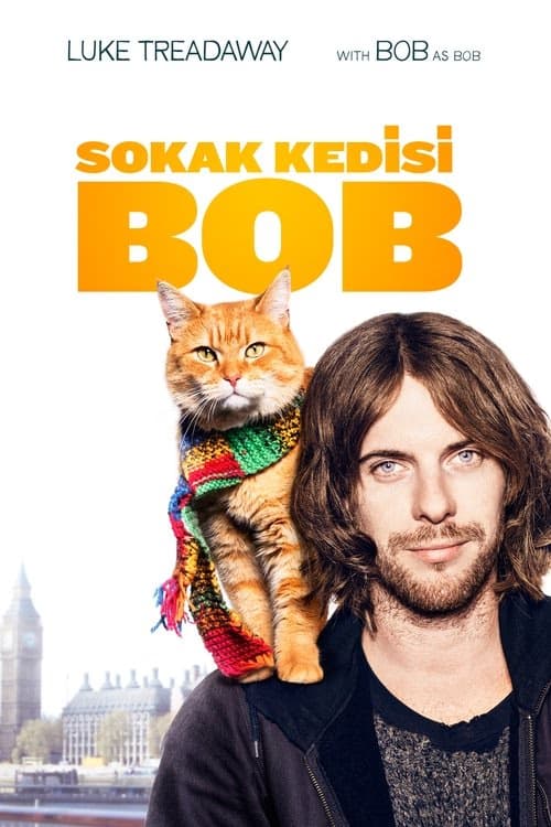 Sokak Kedisi Bob izle