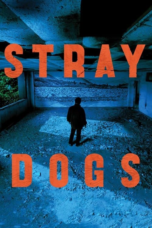 Stray Dogs izle