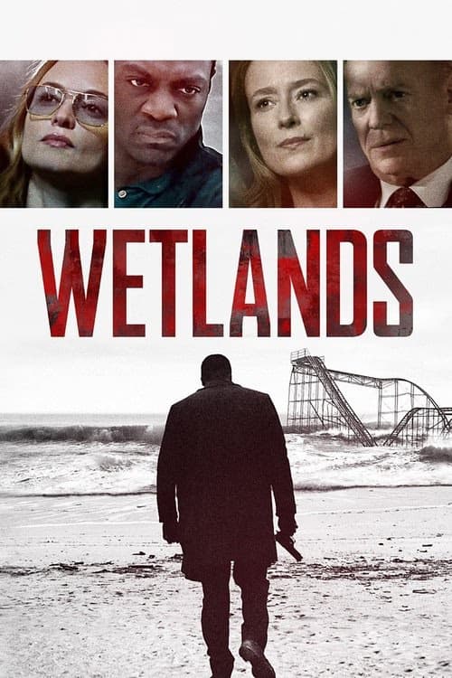 Sulak Alanlar izle