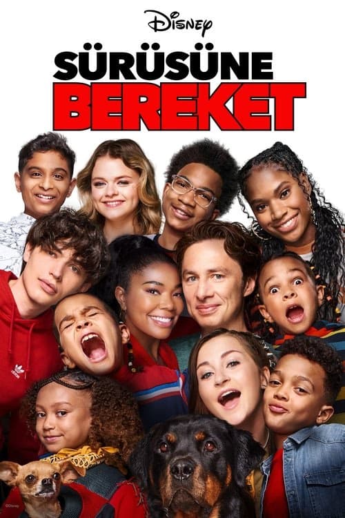 Sürüsüne Bereket izle