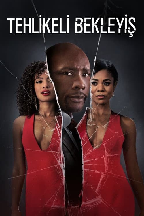Tehlikeli Bekleyiş izle