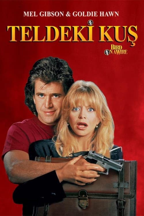 Teldeki Kuş izle