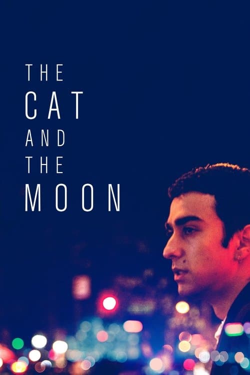The Cat and the Moon izle