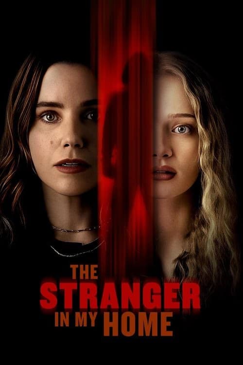 The Stranger in My Home izle