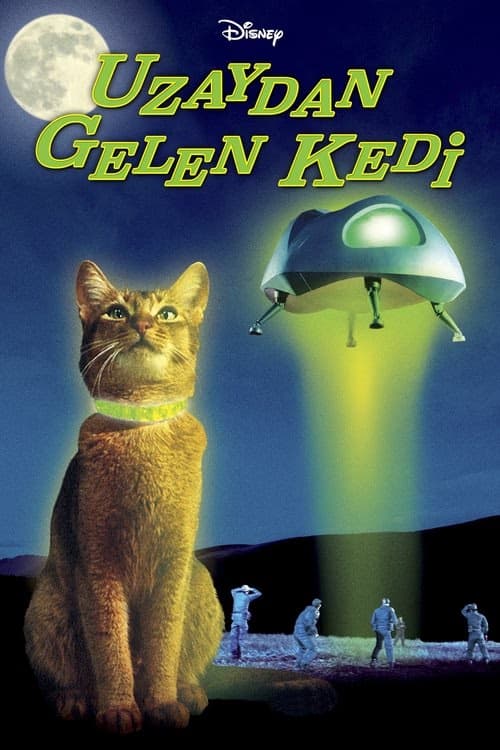 Uzaydan Gelen Kedi izle