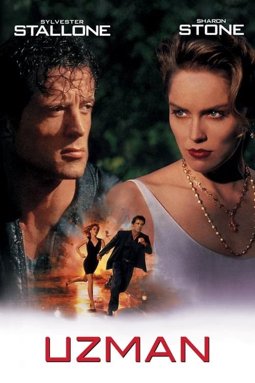 Uzman izle