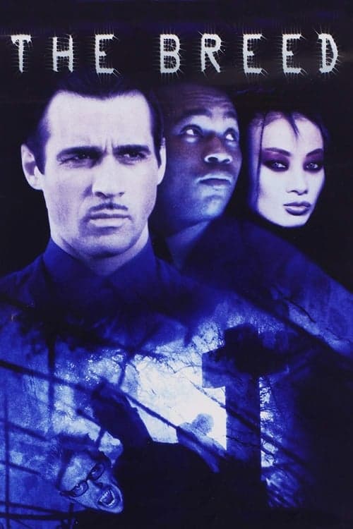 Vampirlerin Dünyası izle