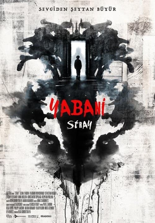 Yabani - Stray izle