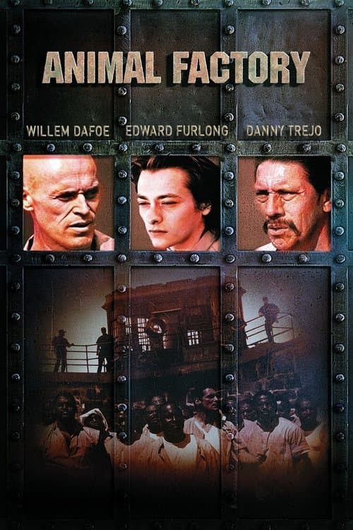 Yaşamak İçin izle