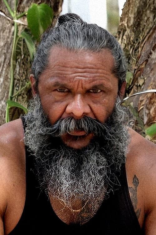 B. S. Avinash filmleri