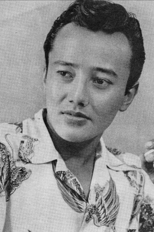 Bambang Hermanto filmleri