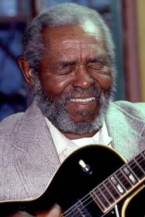 Brownie McGhee filmleri
