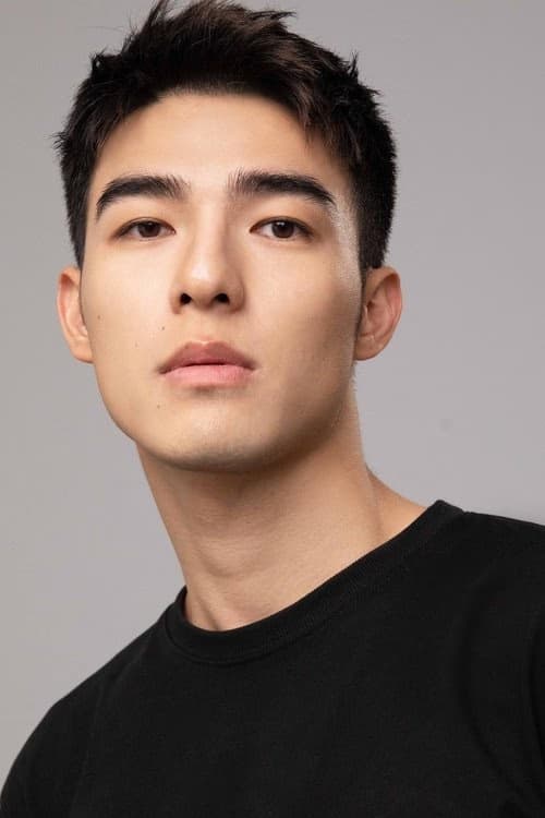 Chen Shicheng filmleri